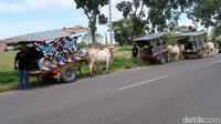 Pengelola wisata gerobak sapi Bantul Tri Iswanto mengatakan awalnya dia dan rekan-rekannya sesama pengemudi gerobak sapi atau yang disebut bajingan, kerap berkumpul 35 hari sekali tepatnya pada Minggu Pon (penanggalan Jawa) di lapangan Pedukuhan Jodog, Kalurahan Gilangharjo, Kapanewon Pandak, Bantul. Tri menyebut tujuan berkumpulnya para bajingan untuk melestarikan keberadaan gerobak sapi.