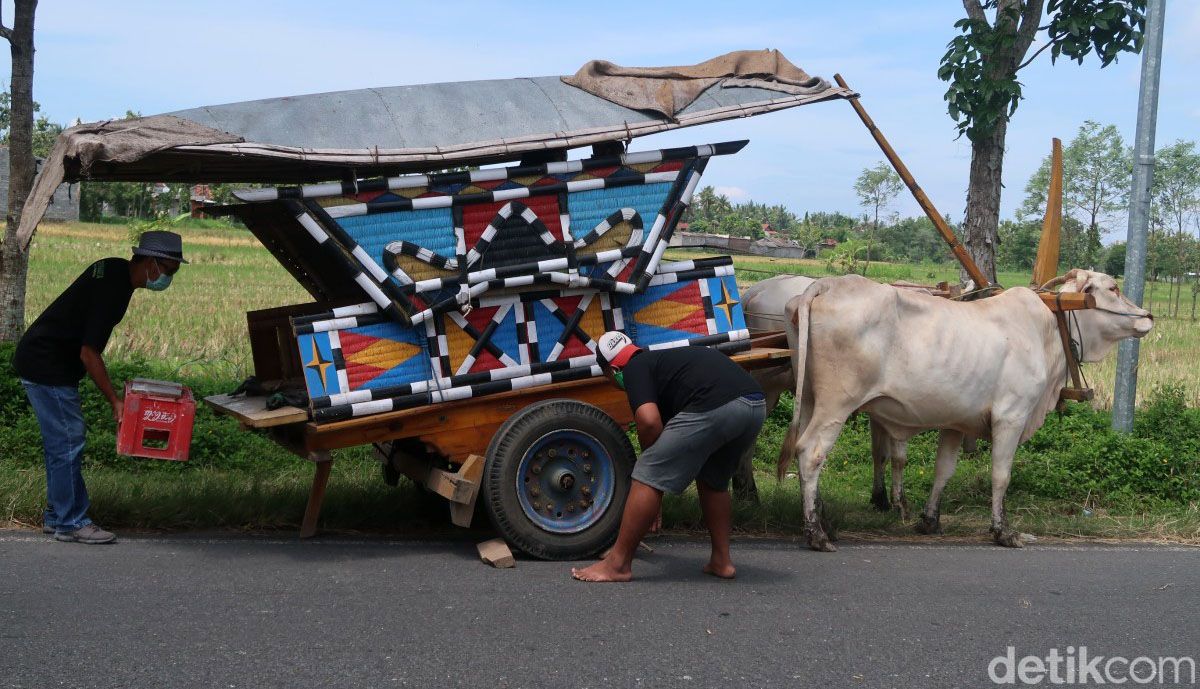 Wisata keliling desa sambil menikmati hamparan sawah dengan naik gerobak ada di Bantul, Yogyakarta. Sensasinya, serasa kembali ke zaman dahulu alias jadul!