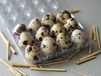 Telur Puyuh di Jepang Tak Laku Lagi Ternyata Ini Penyebabnya