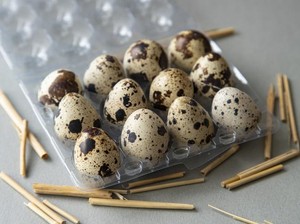 Telur Puyuh di Jepang Tak Laku Lagi Ternyata Ini Penyebabnya