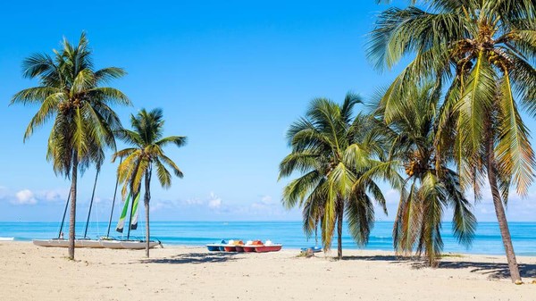 Pantai Varadero, Kuba berada di peringkat kedua. Pantai ini menawarkan pasir putih, pohon palem dan suasana tropis.(Adobe Stock/CNN) Pantai Varadero, Kuba berada di peringkat kedua. Pantai ini menawarkan pasir putih, pohon palem dan suasana tropis.(Adobe Stock/CNN)