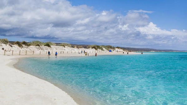 Di peringkat ketiga ada Teluk Turquoise, Exmouth, Australia. Pantai ini menjadi tempat snorkeling yang populer.(Getty Images/CNN)