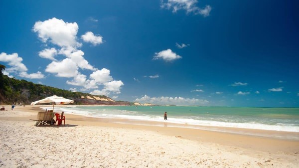 Baia dos Golfinhos berada di posisi selanjutnya. Lumba-lumba menjadi salah satu atraksi utama di bentangan garis pantai selatan Natal ini, Brasil. (Adobe Stock/CNN)