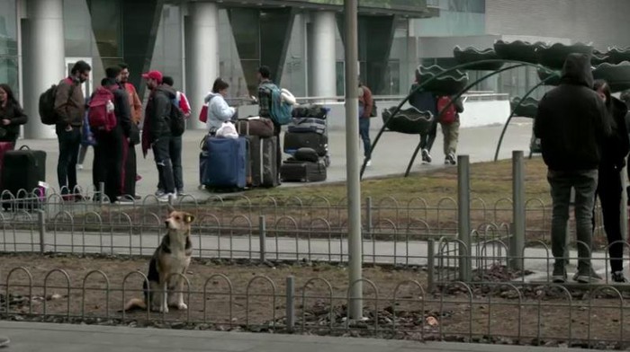 Bandara Kiev Ukraina