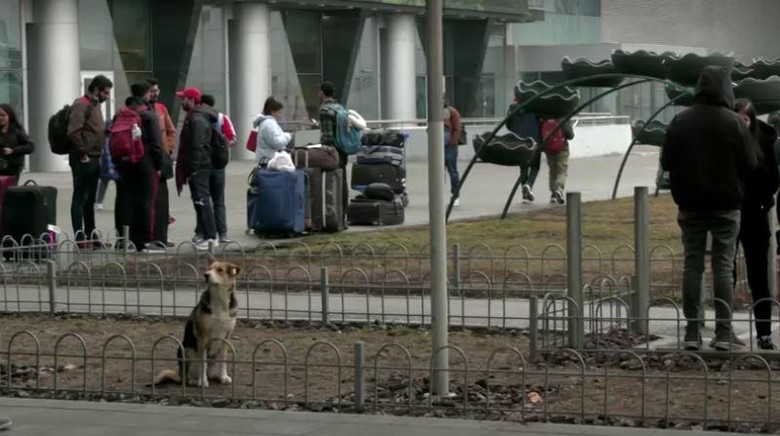Bandara Kiev Ukraina Bandara Kiev Ukraina