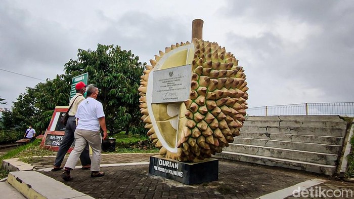 Embung Tonogoro, Banjaroya, Kulon Progo jadi kawasan budi daya durian, Kamis (24/2/2022).