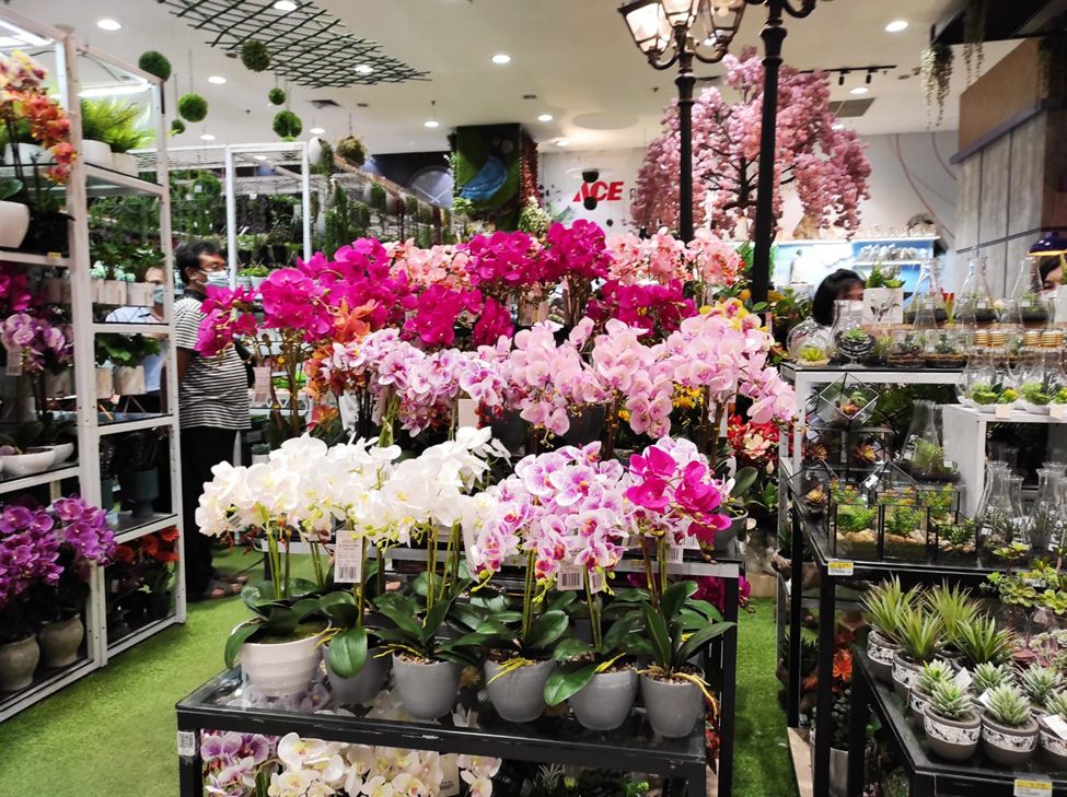 Ilustrasi ACE Hardware