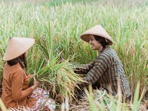 Kalender Jawa Sabtu Pahing 19 Juli 2025: Saatnya Bercocok Tanam