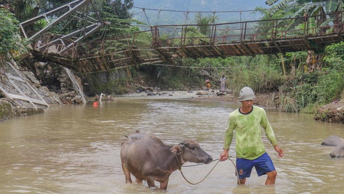 Warga memaksakan diri melintasi jembatan rusak di Desa Sukarasa, Tanjung Sari, Kabupaten Bogor, Jawa Barat, Kamis (24/2/2022).Jembatan penghubung antara Desa Sukarasa dan Desa Cibadak tersebut rusak parah yang disebabkan luapan banjir Sungai Cisero beberapa waktu lalu dan mengakibatkan akses kedua desa tersebut terputus. ANTARA FOTO/Yulius Satria Wijaya/rwa.