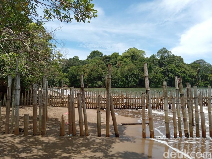 Pagar di Cagar Alam Pangandaran