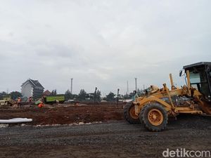 Bambu Jadi Penopang Sirkuit Formula E, Apa Kelebihan dan Kekurangannya?