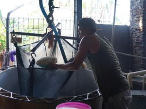 Harga Kedelai Naik, Pengusaha Tahu-Tempe di Bone Setop Produksi