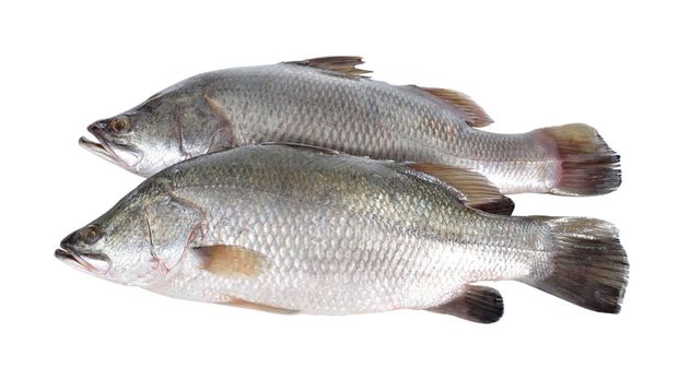 Resep Ikan Goreng Sambal Bawang