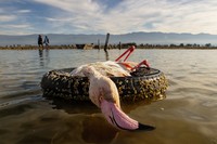Sony Word Photography Awards 2022