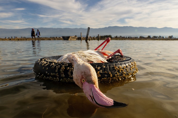Sony Word Photography Awards 2022