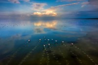 Sony Word Photography Awards 2022