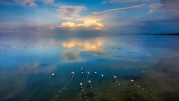 Finalis kategori Environment: Mehdi Mohebi Puor dari Iran Foto: Sony Word Photography Awards