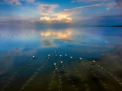 Karya Memukau Finalis Sony World Photography Awards 2022