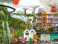 Karya Memukau Finalis Sony World Photography Awards 2022