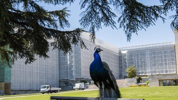 Finalis kategori Architecture & Design: Mark Henley dari Swiss. Foto: Sony Word Photography Awards