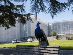 Karya Memukau Finalis Sony World Photography Awards 2022