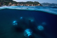 Sony Word Photography Awards 2022