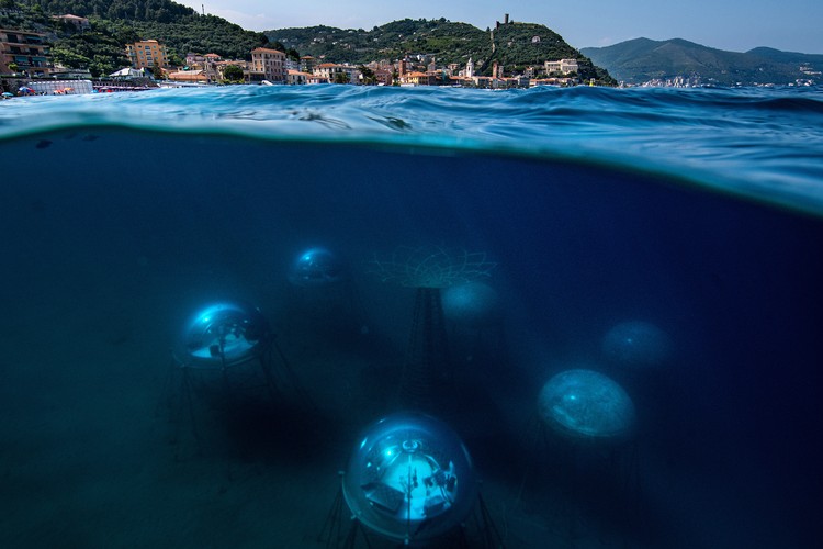 Sony Word Photography Awards 2022