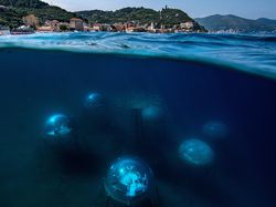 Karya Memukau Finalis Sony World Photography Awards 2022