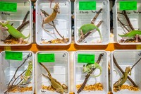 Sony Word Photography Awards 2022
