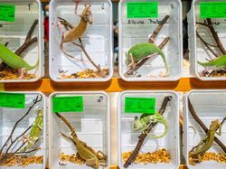 Karya Memukau Finalis Sony World Photography Awards 2022