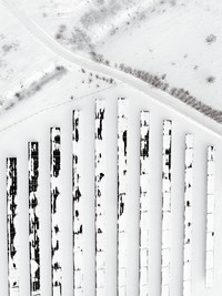 Sony Word Photography Awards 2022