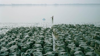 Finalis kategori Environment: Shuntai Kimura dari Jepang. Foto: Sony Word Photography Awards
