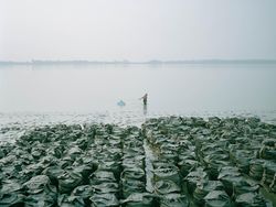 Karya Memukau Finalis Sony World Photography Awards 2022