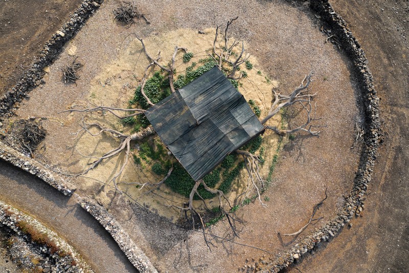 Sony Word Photography Awards 2022