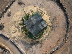 Karya Memukau Finalis Sony World Photography Awards 2022