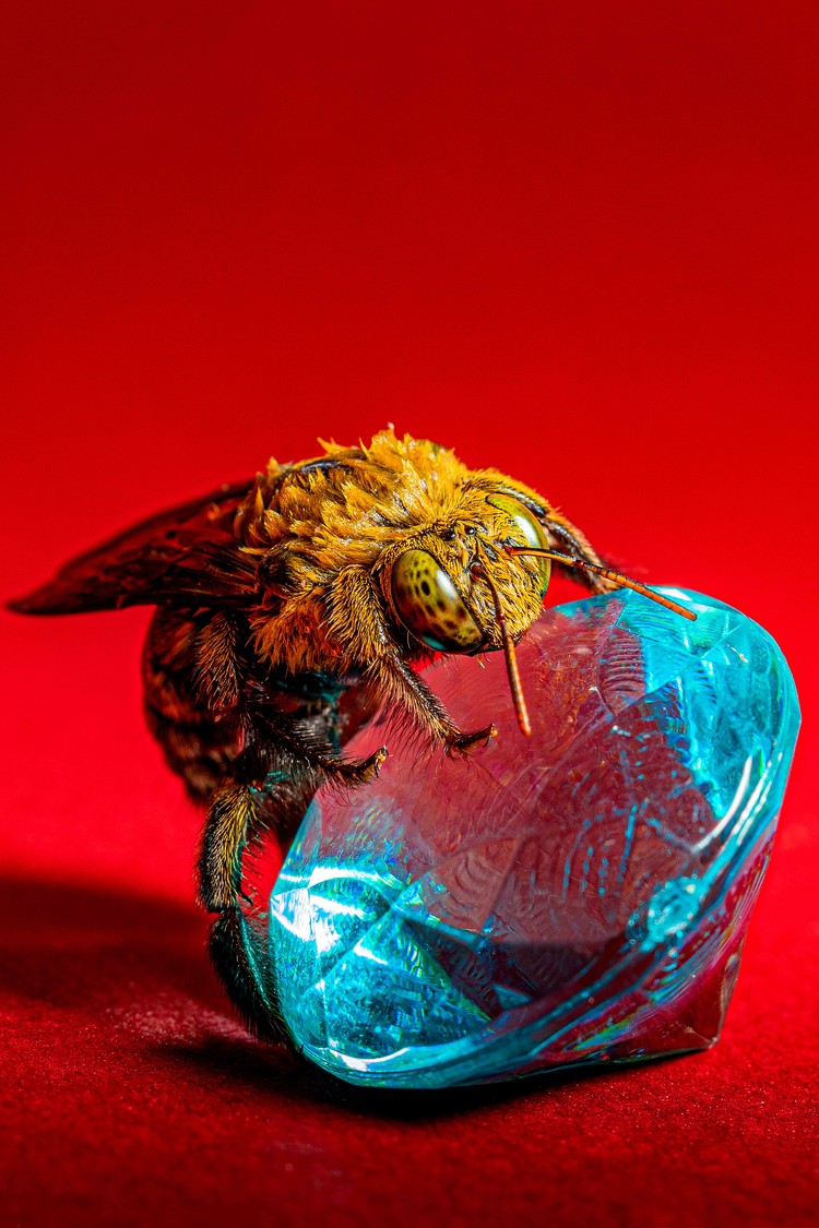 Sony Word Photography Awards 2022