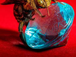 Karya Memukau Finalis Sony World Photography Awards 2022