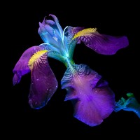 Sony Word Photography Awards 2022