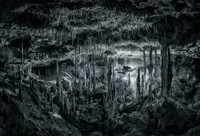 Sony Word Photography Awards 2022