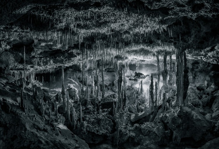 Sony Word Photography Awards 2022