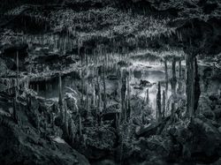 Karya Memukau Finalis Sony World Photography Awards 2022