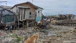 Menyengat Bau Busuk Dekat Giant Sea Wall Jakarta Gegara Sampah Menumpuk