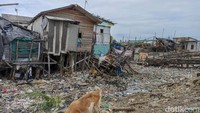 Petugas gabungan berasal dari Kelurahan Kalibaru, Kecamatan Cilincing, Suku Dinas Sumber Daya Air, Sudin LH Jakut, Sudin LH Pemerintah Kabupaten Kepulauan Seribu, Unit Pelaksana Kebersihan Badan Air DLH DKI Jakarta, serta masyarakat sekitar.