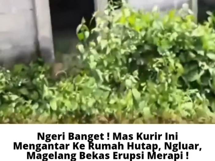 Video kurir paket di huntap Merapi, Magelang, viral gegara alamat yang dituju tak berpenghuni.