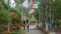 Dulu warga Singkawang mengenalnya sebagai Waterboom Gunung Poteng. Tapi belakangan namanya berubah populer jadi Taman Cinta. Suasana di sini sangat asri. (Wahyu Setyo Widodo/detikTravel)