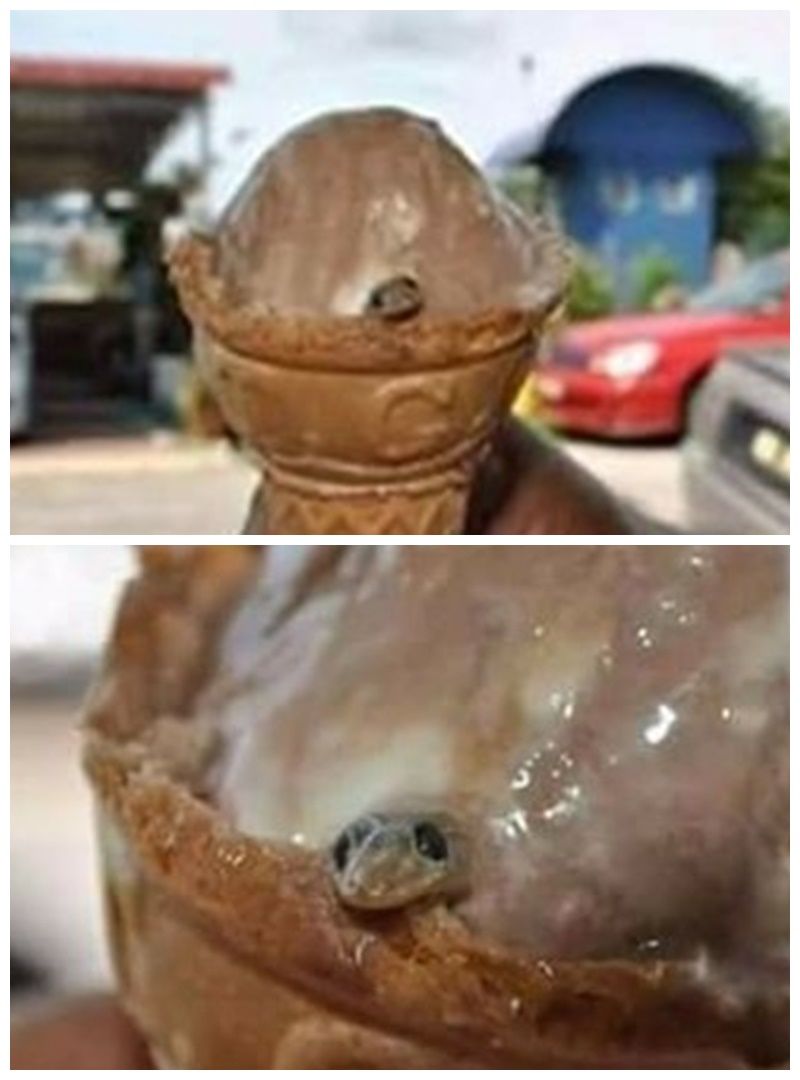 Gagal Enak! 7 Momen Jajan Es Krim Ini Malah Berujung Trauma