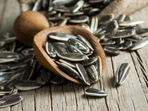 Artis AS Hampir Gagal Terbang Gara-Gara Kuaci Biji Matahari