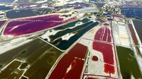 Lalu, bagaimana warna-warni indah yang membuat danau ini begitu populer di kalangan fotografer? Mereka ada hubungannya dengan spesies hewan dan tumbuhan yang hidup di air.