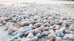 Indah Sekali, Laut Mati Made In China Ini Berwarna-warni
