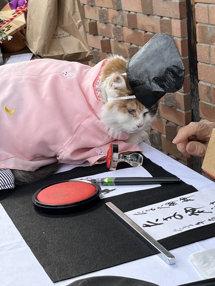 Nitama, kucing yang jadi imam di kuil Tama